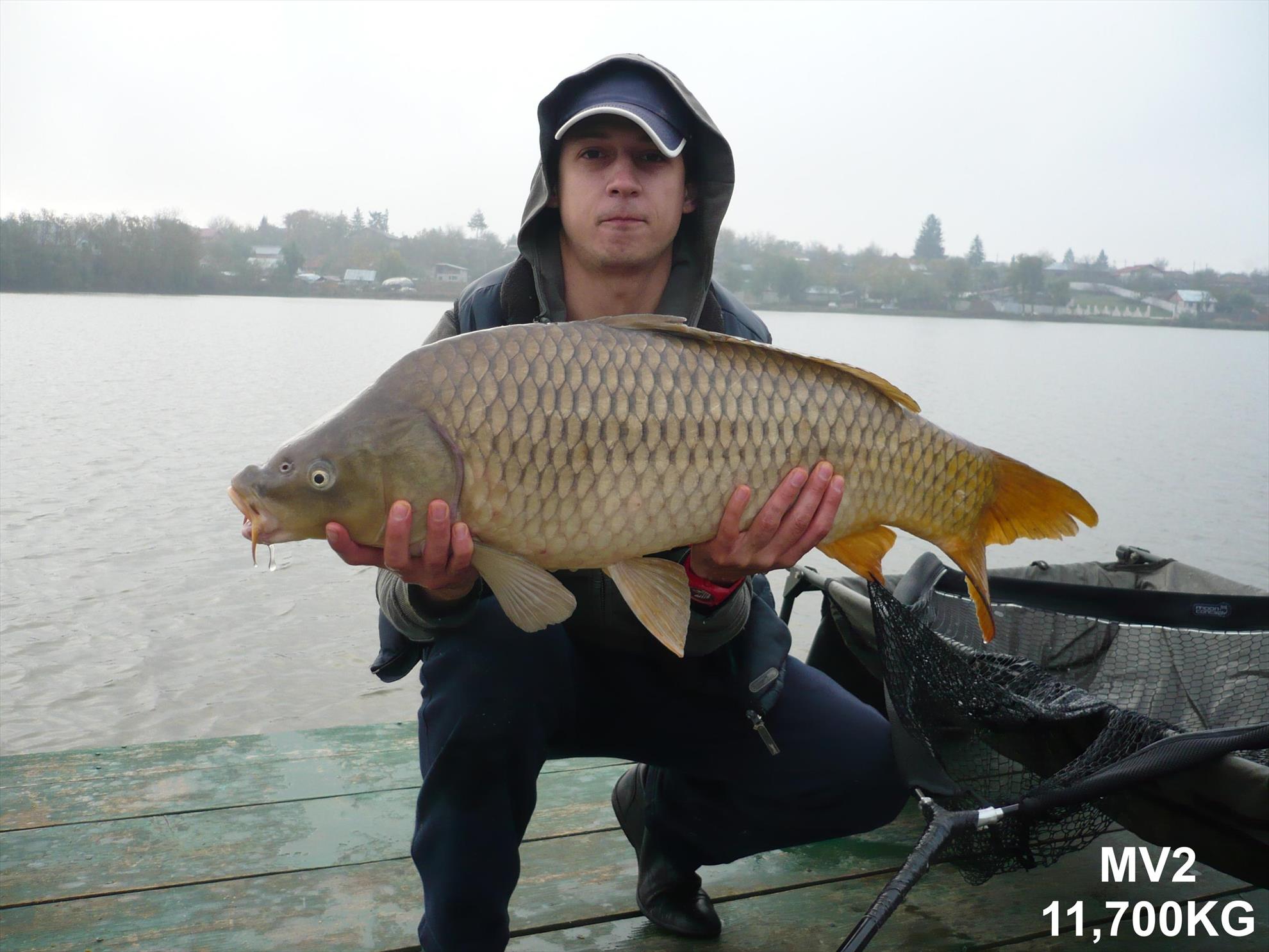 Capturi - moara-vlasiei-24oct20131.JPG